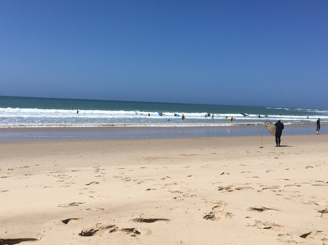 Dolphin Beach-杰佛瑞湾必去景点
