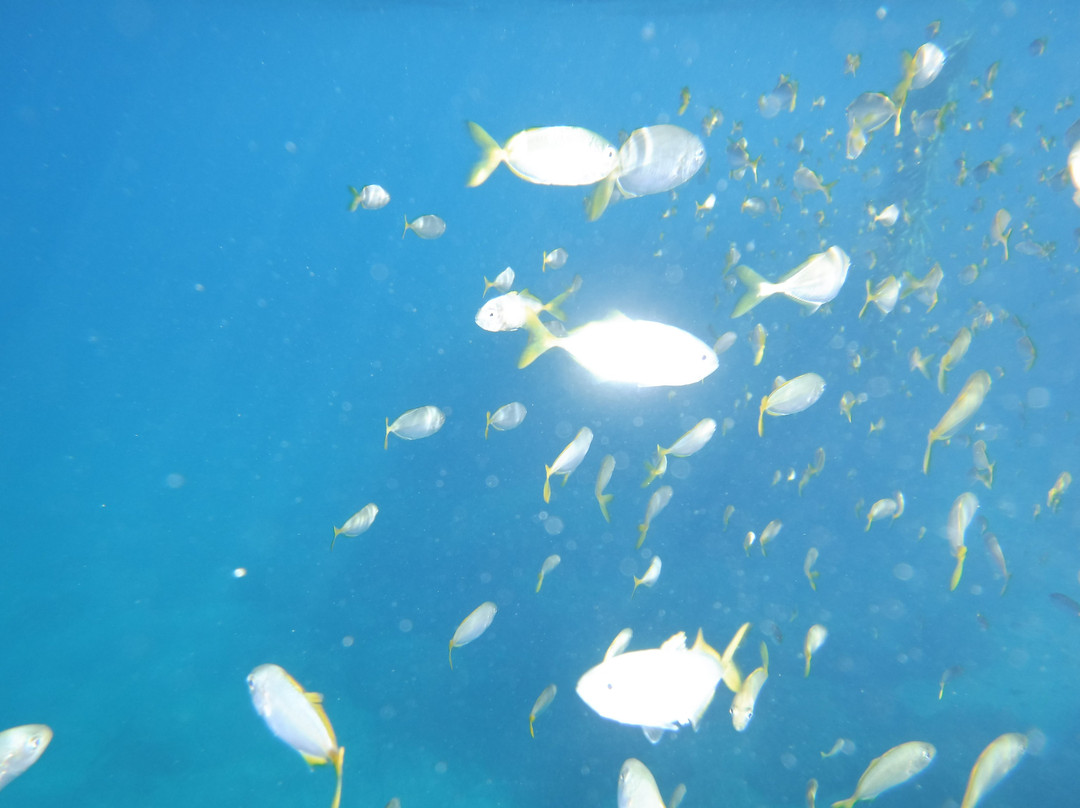 Hotel Baia Del Capitano主图