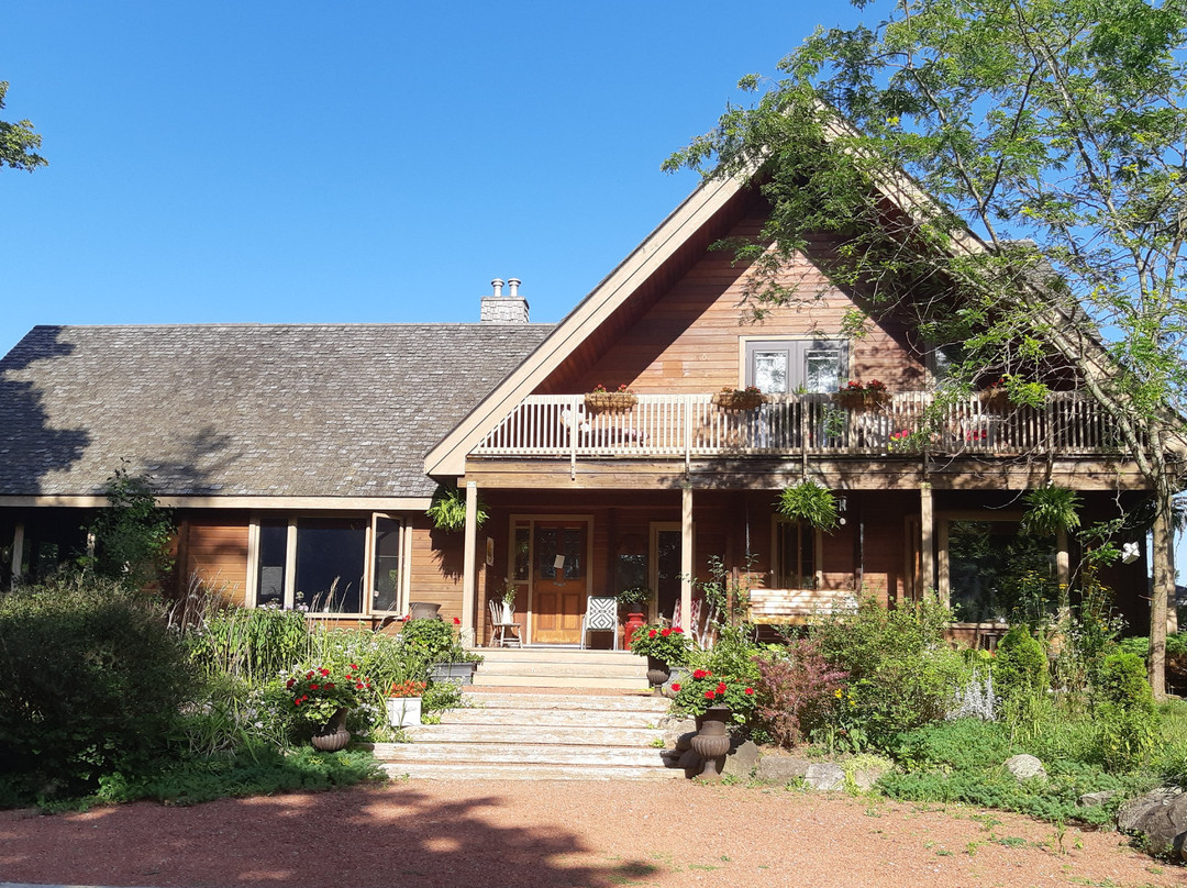 Runaway Rooster主图