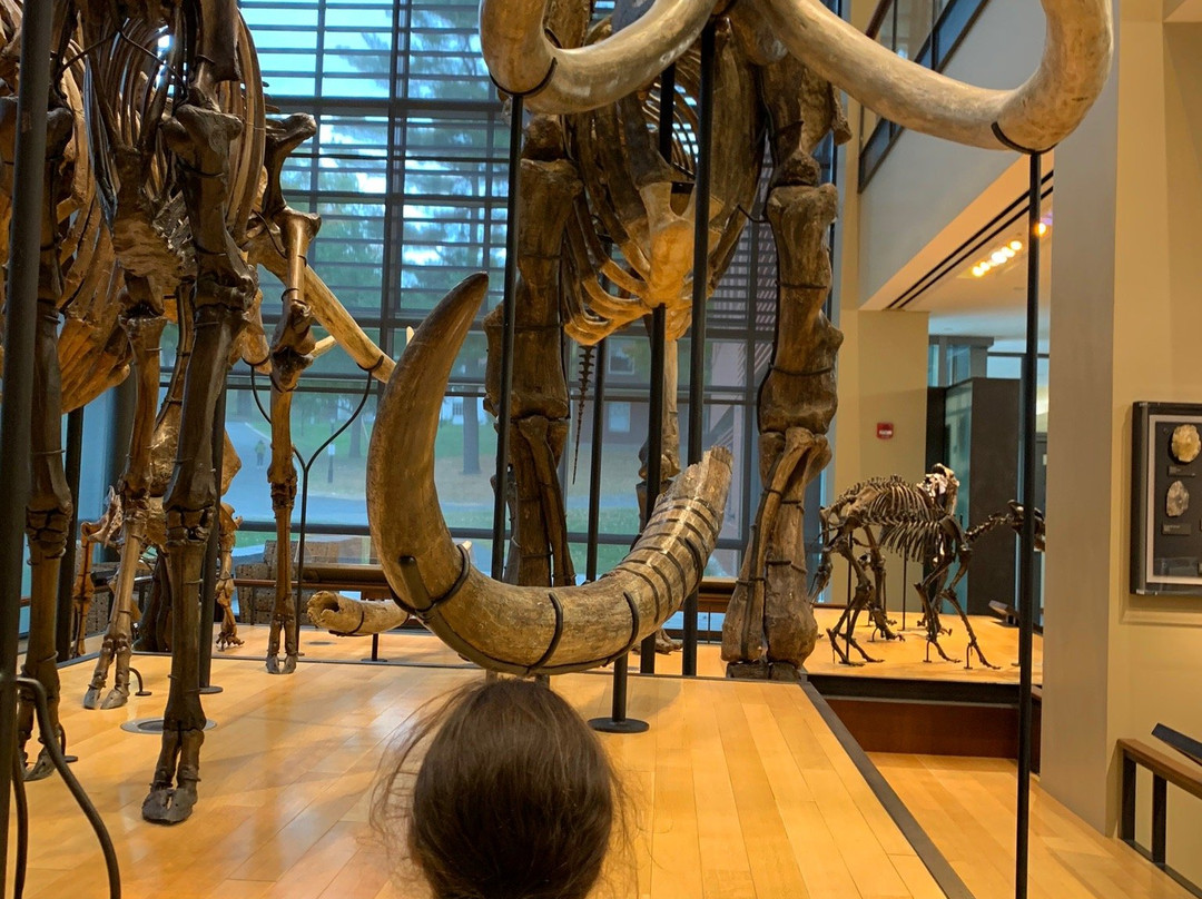 Amherst College Museum of Natural History-艾姆赫斯特必去景点