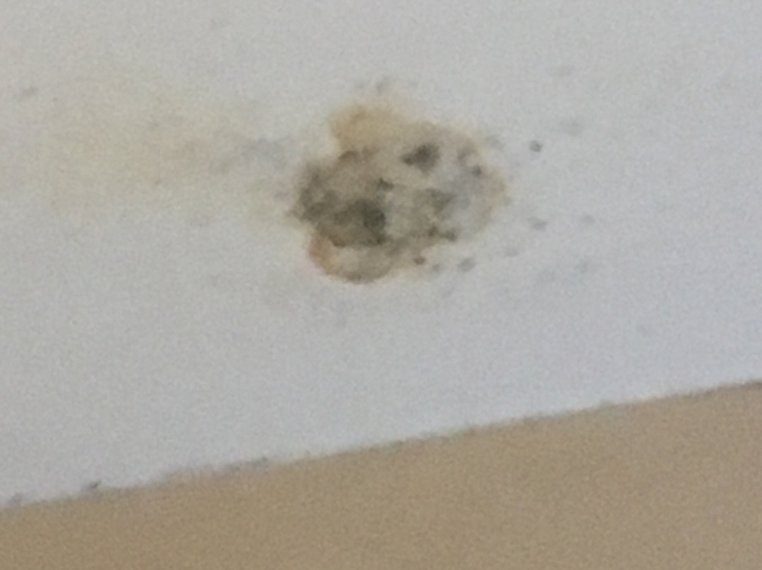 Newcastle Jesmond Hotel主图