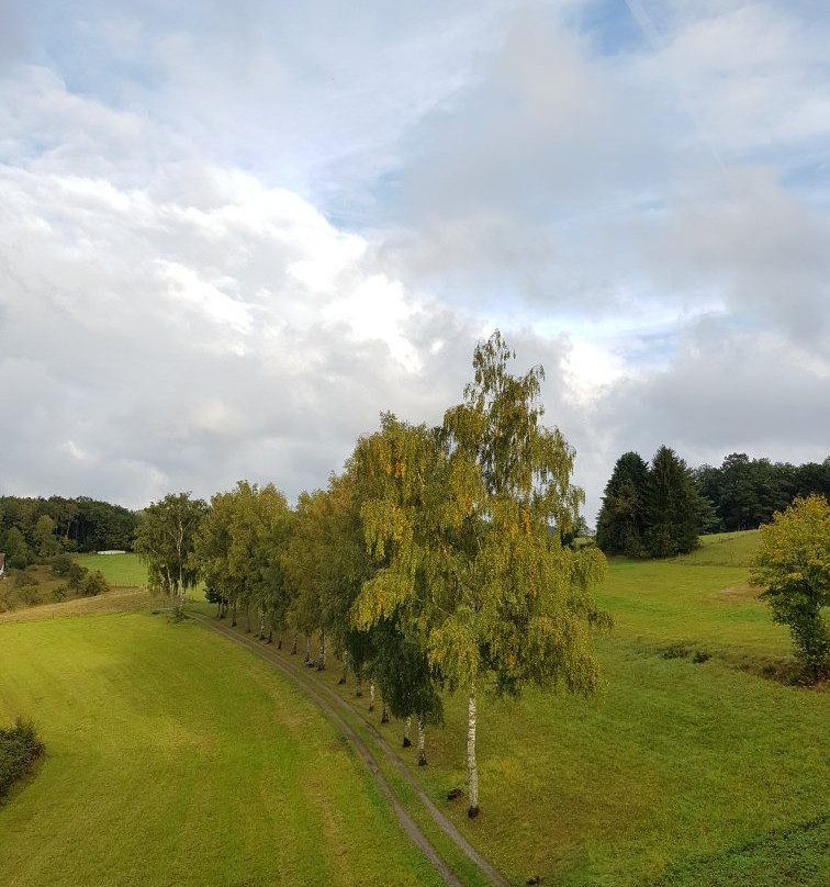 Hotel Restaurant Birkenhof主图