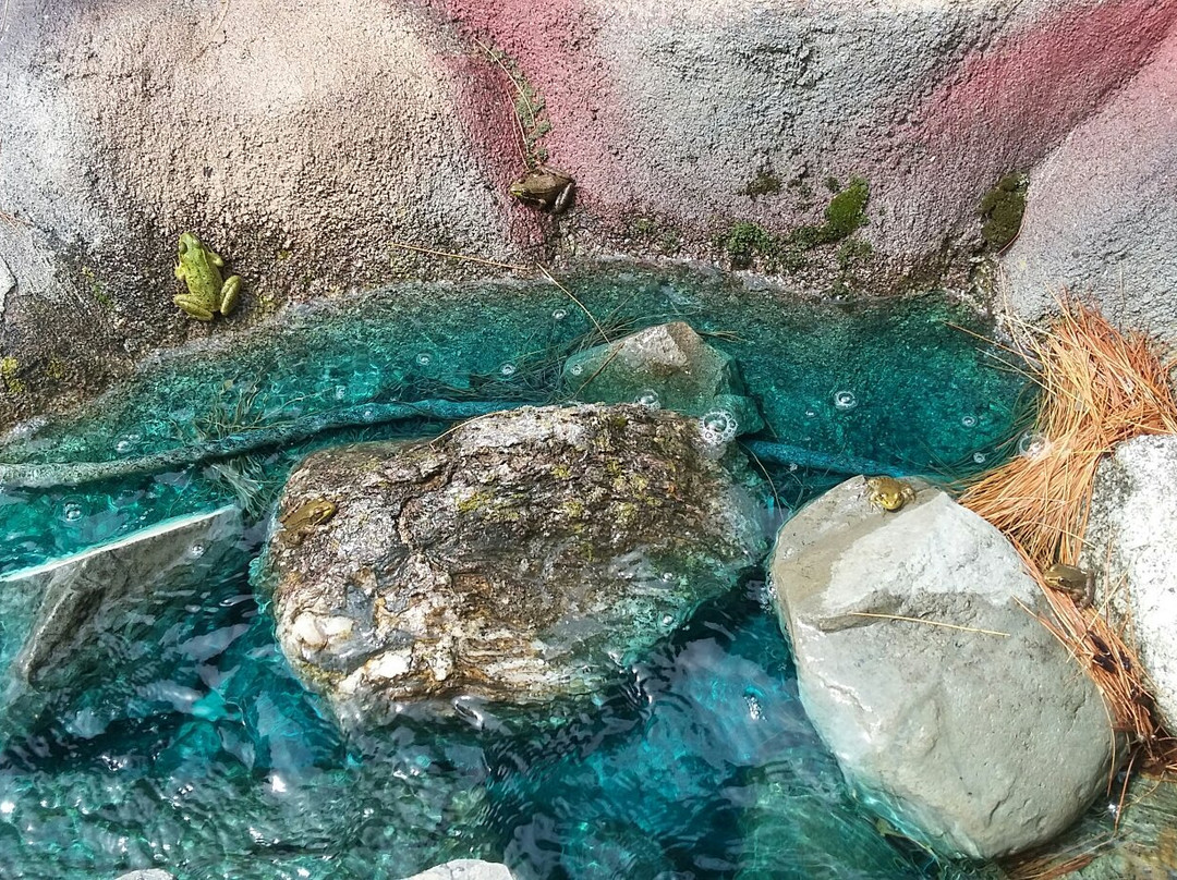 Blackbeard's Family Fun Park-班戈必去景点