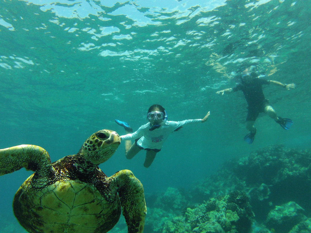 Ohana Guides-库克船长必去景点