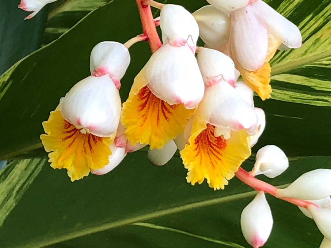 Wellborn旅游攻略图片