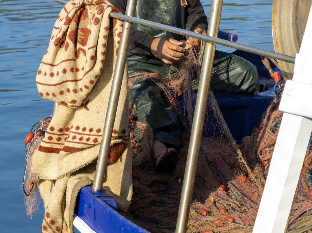 Analipsi Beach-Petalidi必去景点