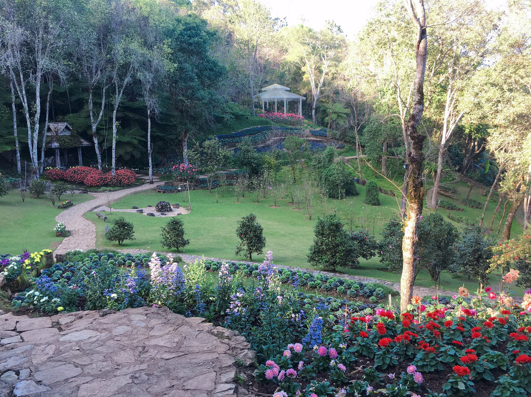 Doi Chang Mub Arboretum-夜发銮必去景点