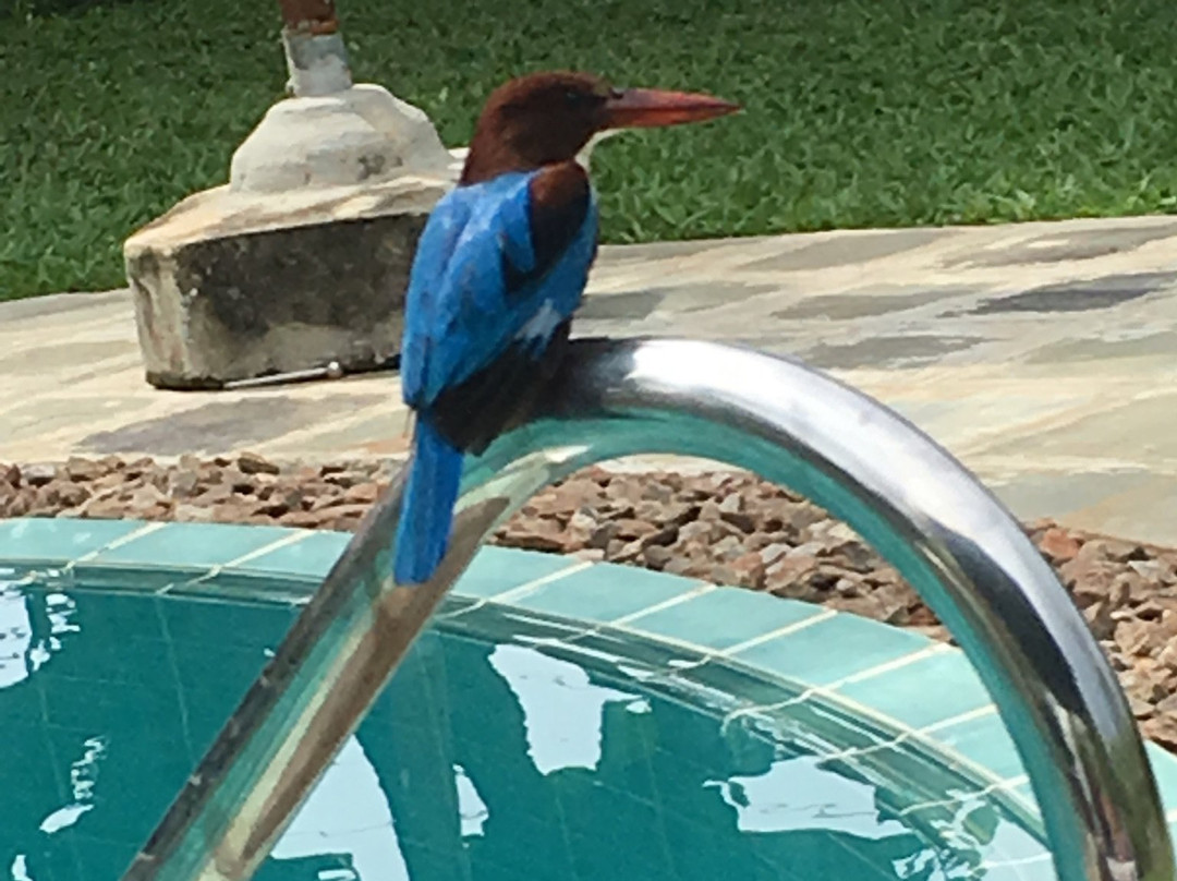 亚洲珠宝精品酒店主图