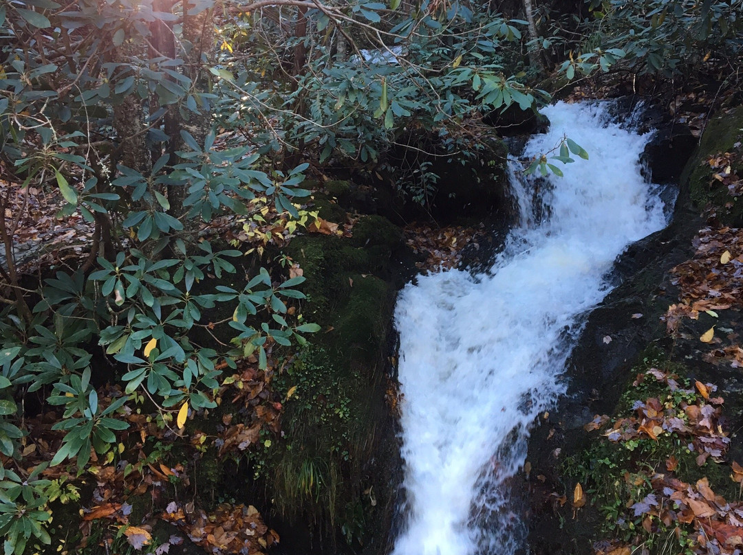 Huskey Branch Falls景点图片