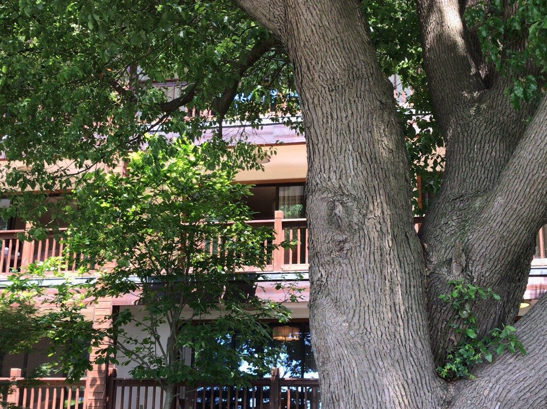 铁琴铜剑楼-常熟市必去景点