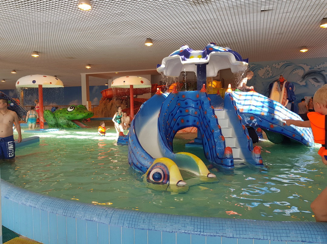 Aquapark Okskaya Zhemchuzhina景点图片