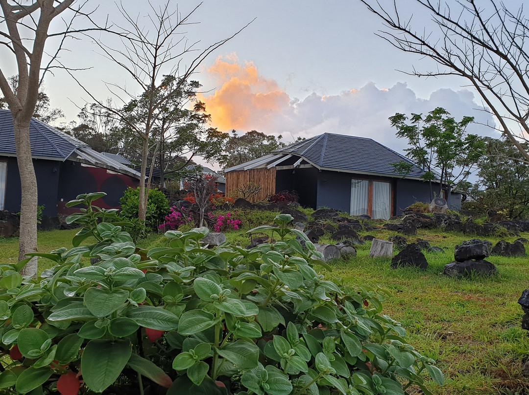 Altiplanico Rapa Nui主图