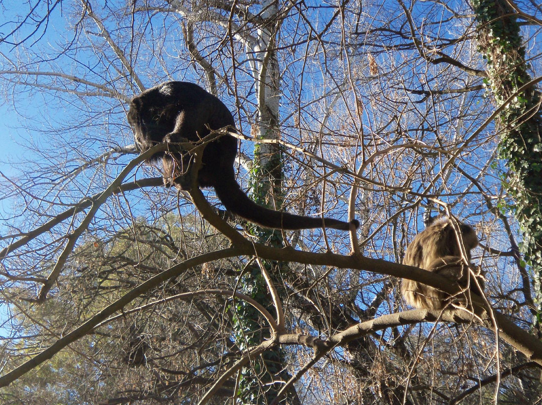 Parque Zoologico La Maxima景点图片