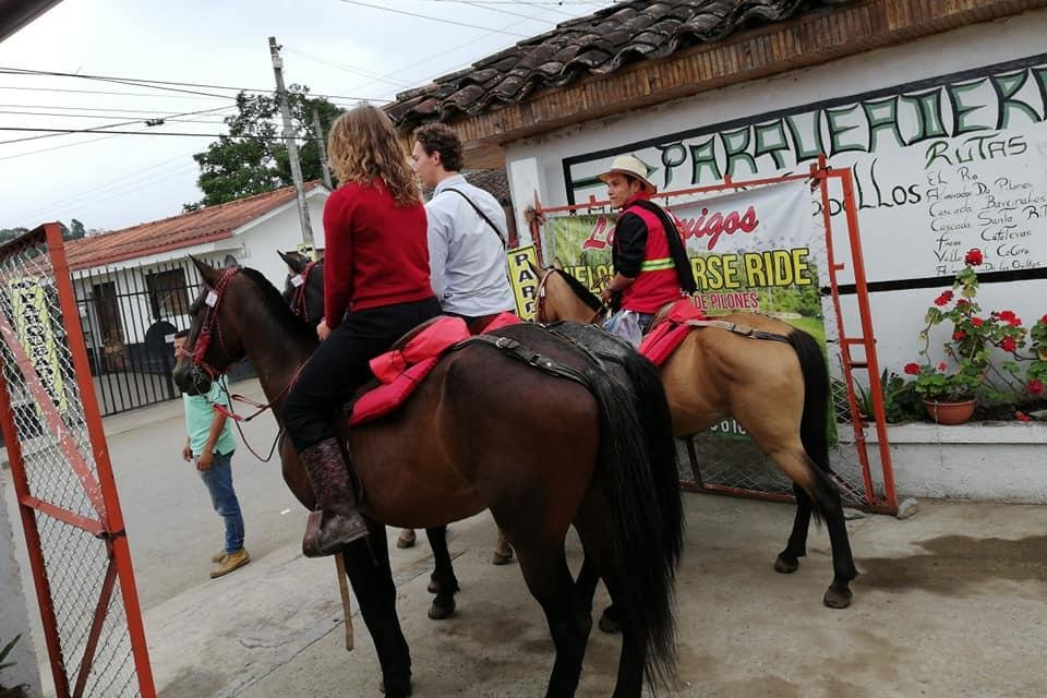 Cabalgatas Los Amigos de Salento-萨伦托必去景点