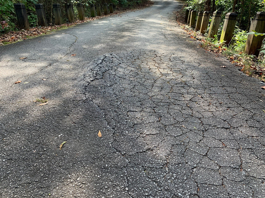 Lake Hartwell State Park-Fair Play必去景点