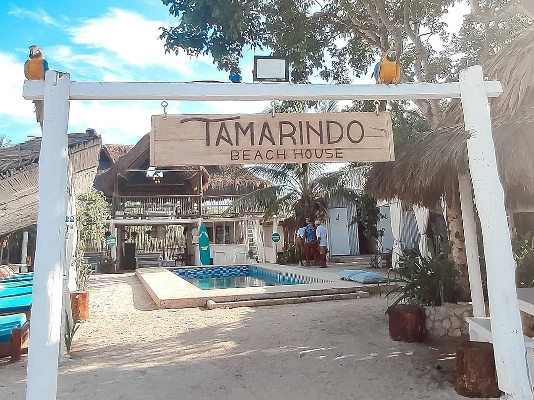 Tamarindo Beach House景点图片