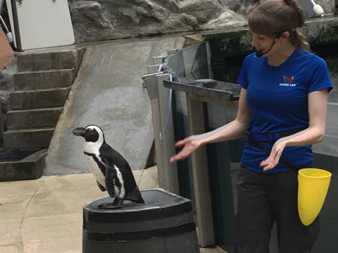 西埃德蒙顿购物中心-埃德蒙顿必去景点