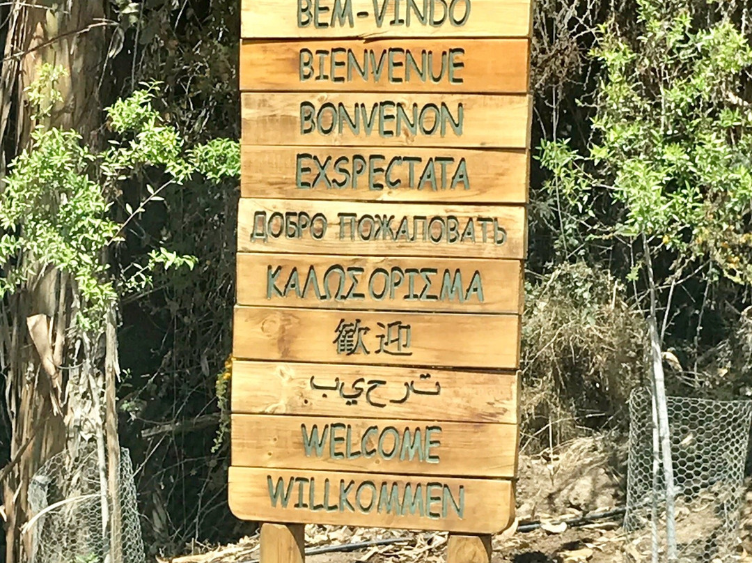 Granja Aromatica Los Aromos-Limache必去景点