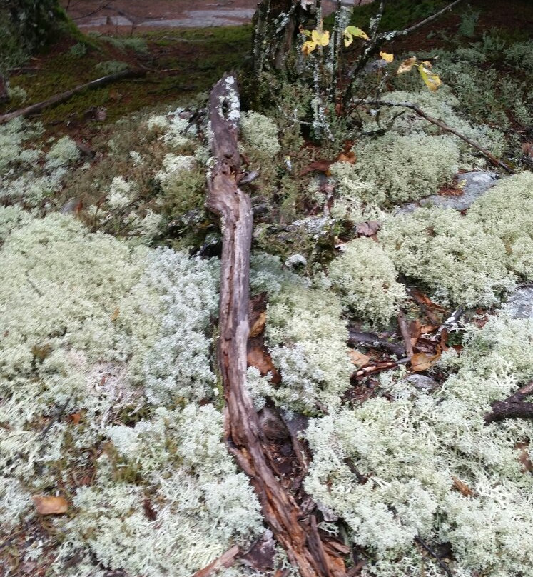 Mount Ascutney-Windsor必去景点