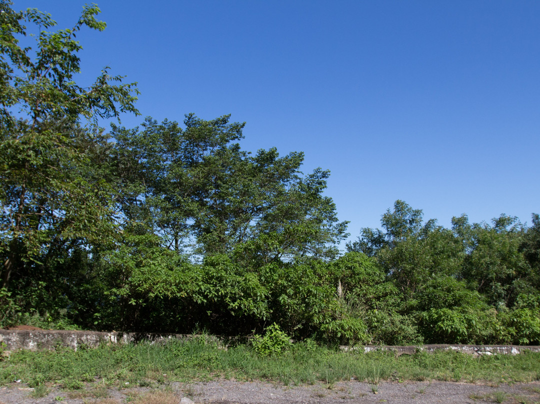 Belvedere São Francisco De Paula