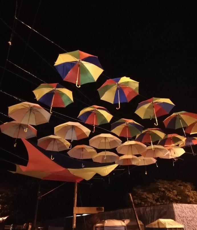 Festival De La Quinta-巴耶杜帕尔必去景点