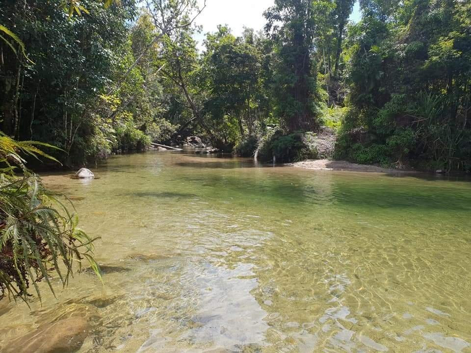 Alligators Nest-Tully必去景点