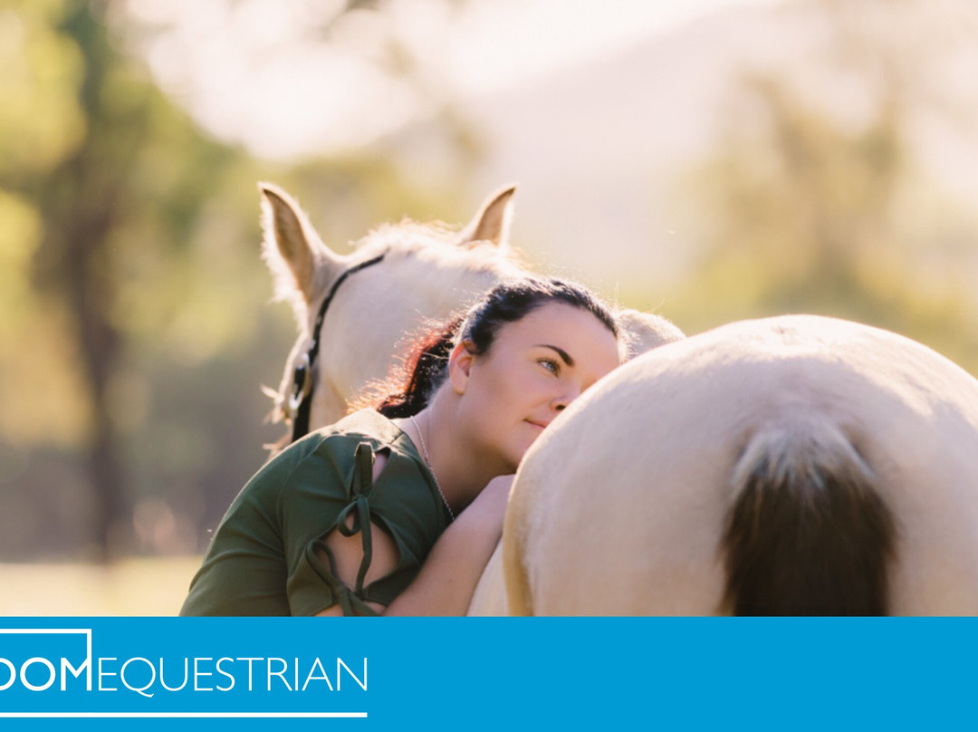 Freedom Equestrian景点图片