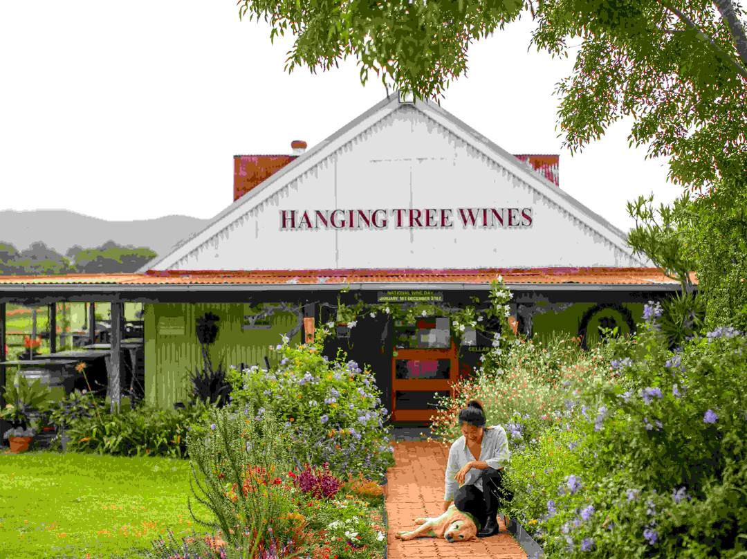 Hanging Tree Wines景点图片