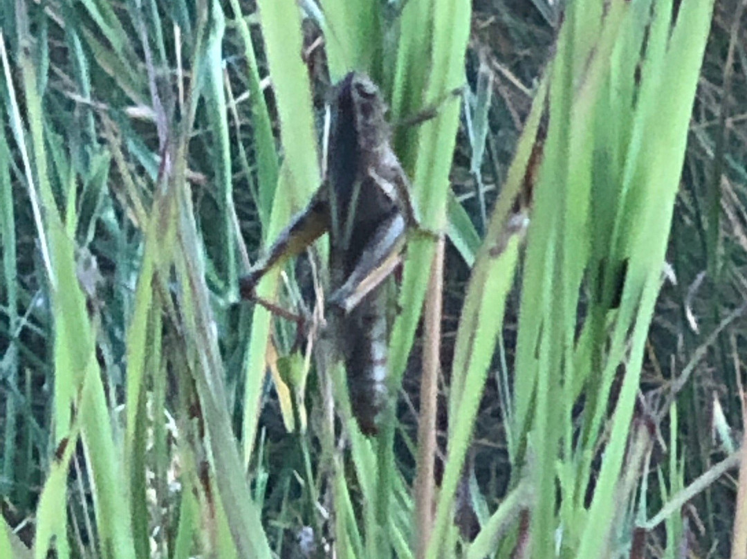 Iwetamlaykin State Heritage Site-Joseph必去景点