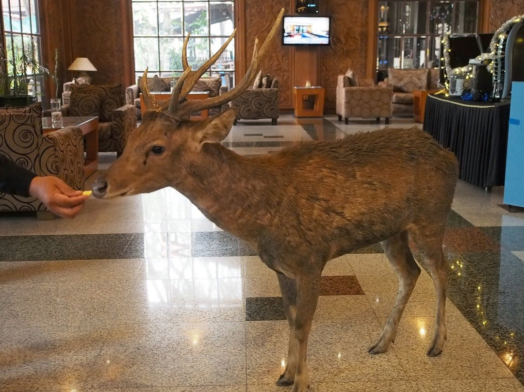 新加萨那酒店主图