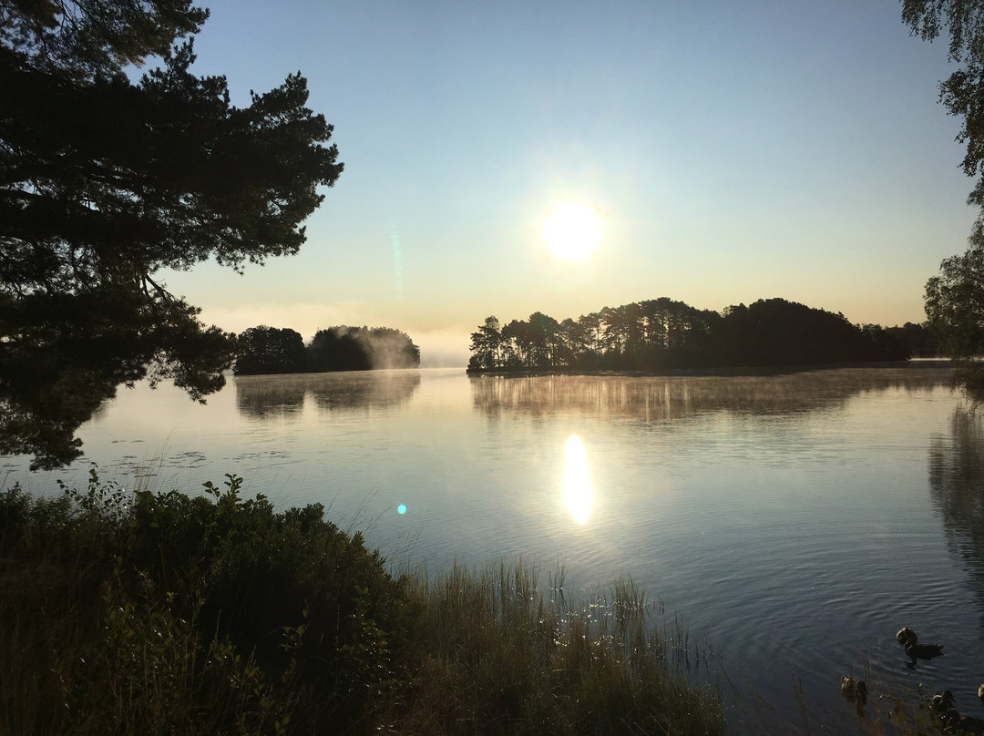 Sjotorpet Camping Park