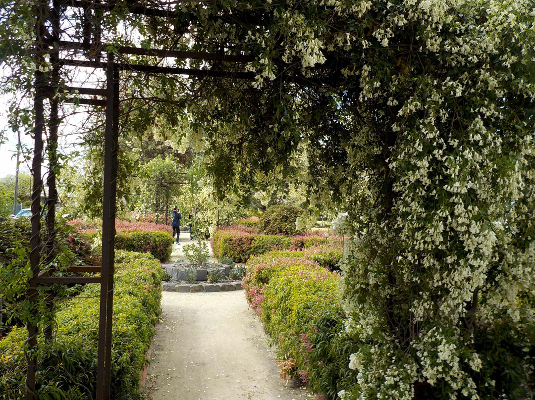 Alphington park-Alphington必去景点