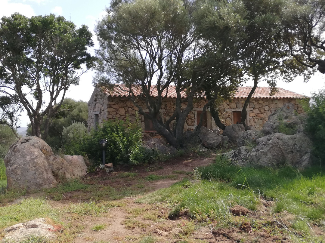 Agriturismo Spridda主图