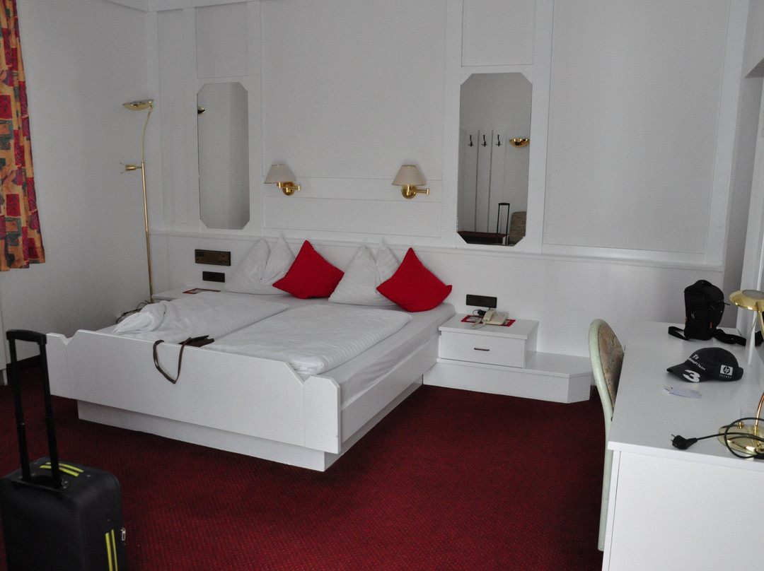 Hotel Wilder Mann主图