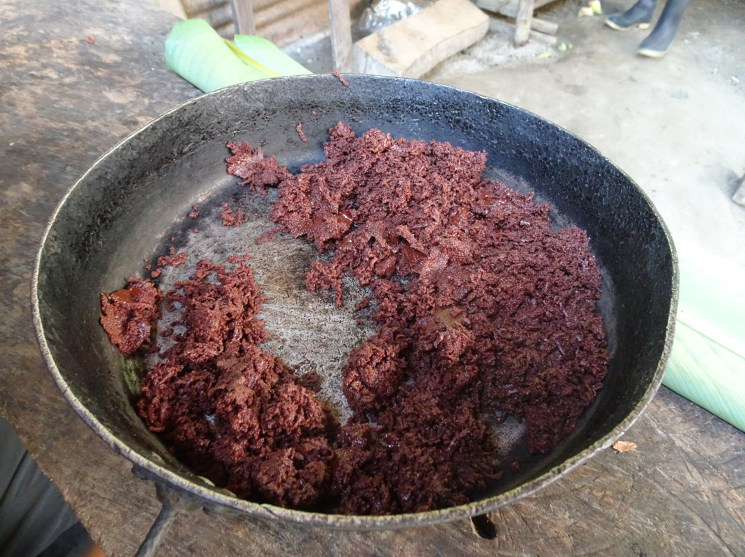 Kallari-Tena必去景点