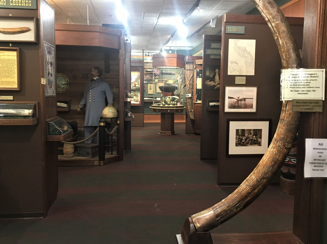 Corrington’s Alaskan Ivory & Museum-史凯威必去景点