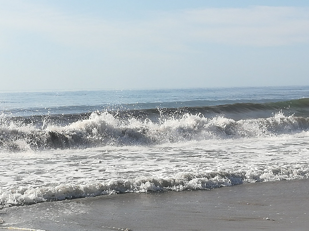 Hotel Laico Hammamet主图