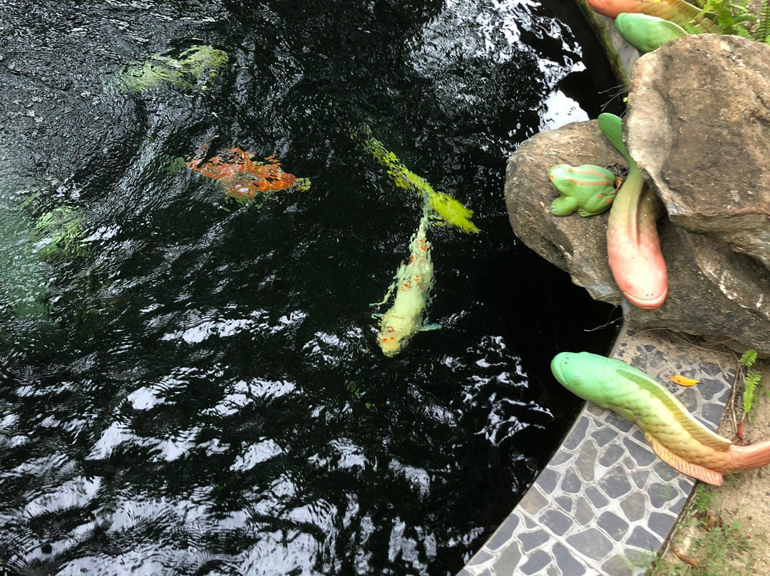 P.N. Gold Resort主图