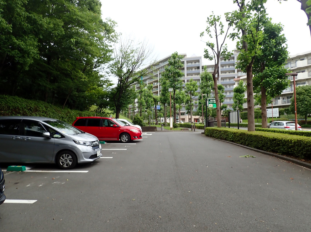 Shiroyama Park-稻城市必去景点
