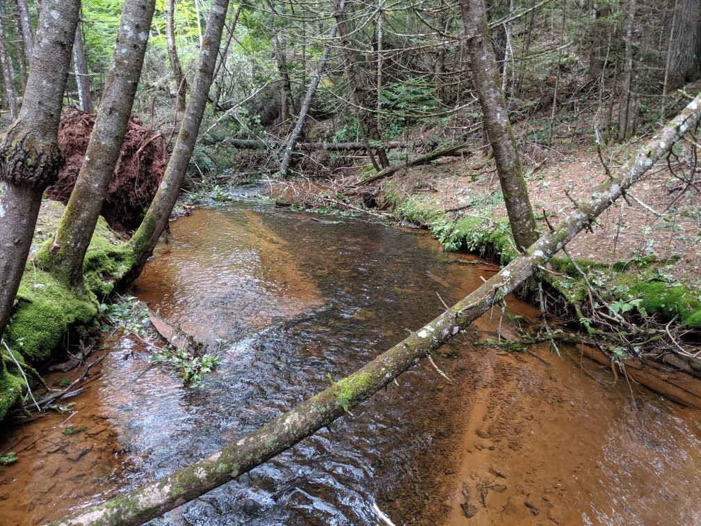 Sir Andrew Macphail Homestead-Orwell必去景点