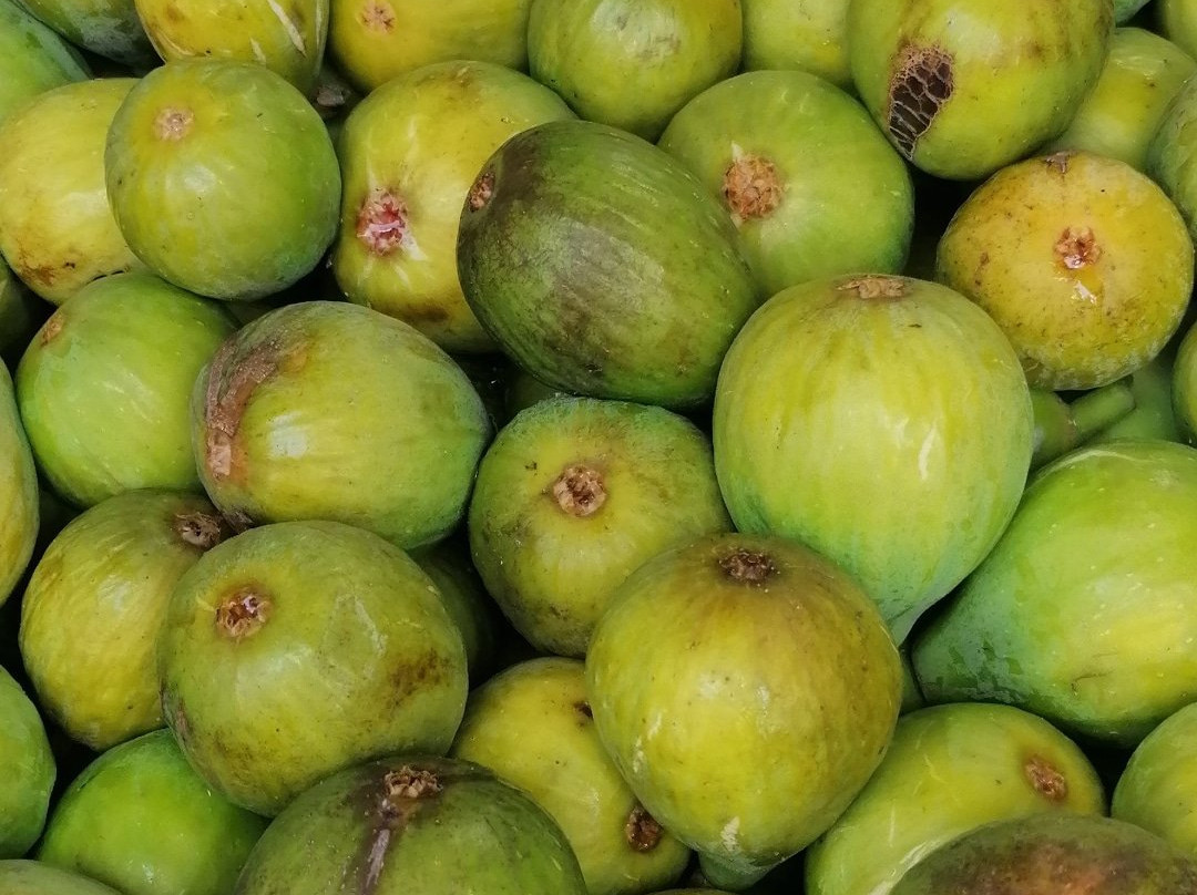 Monte das Alpenduradas主图