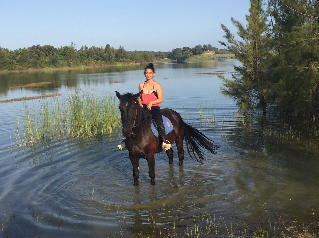 Aux Poneys d Eden-Canale-di-Verde必去景点