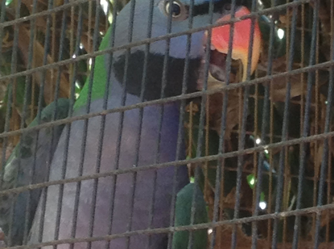 12 Mile Bird Park景点图片