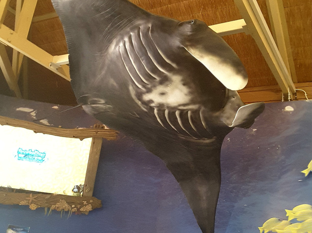 Milyering Discovery Centre-埃克斯茅斯必去景点