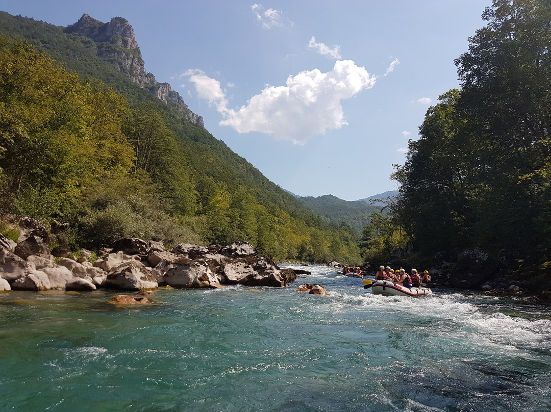 Tara Canyon Raft-Foca必去景点