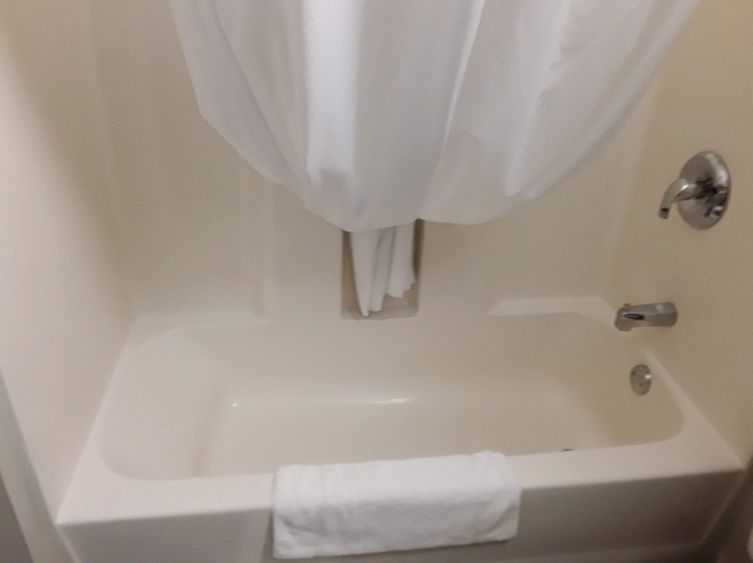 Microtel Inn & Suites by Wyndham Tifton主图