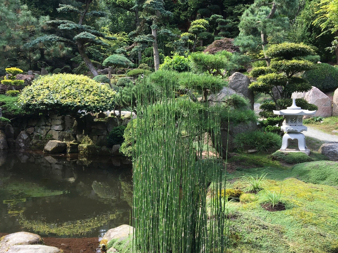 Japanese Garden-Jarkow必去景点