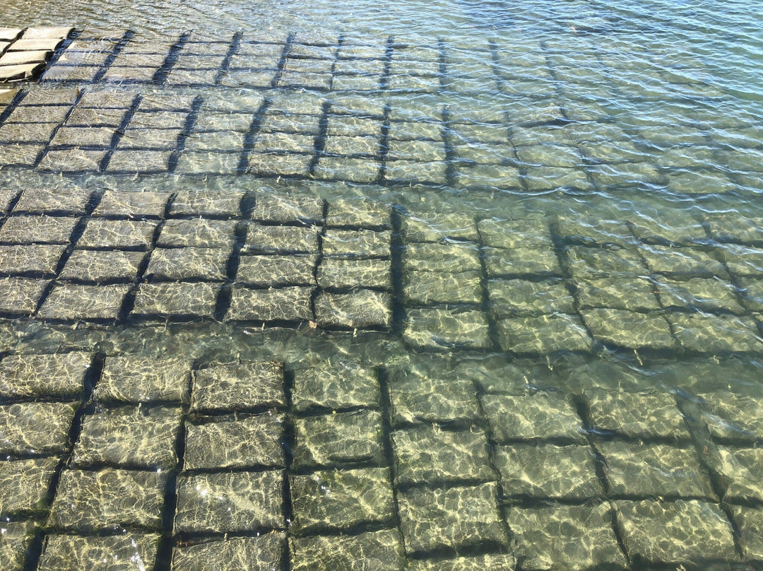 Westcott Bay Shellfish Co.景点图片