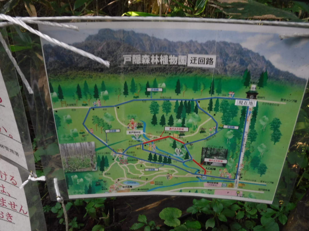 Togakushi Forest Botanical Garden-长野县必去景点