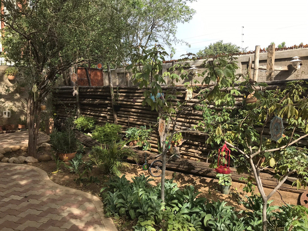 Casa De Los Pájaros主图